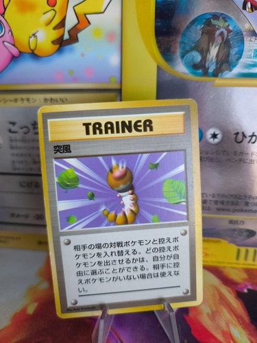 Carta pokemon card - gust, of
