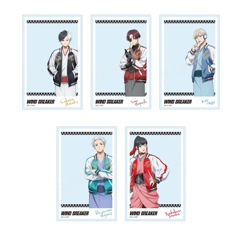 Wind breaker clear - clear, card