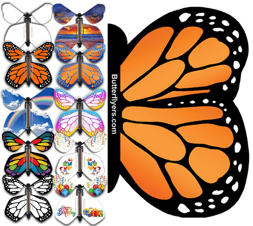 Orange monarch butterfly - monarch,