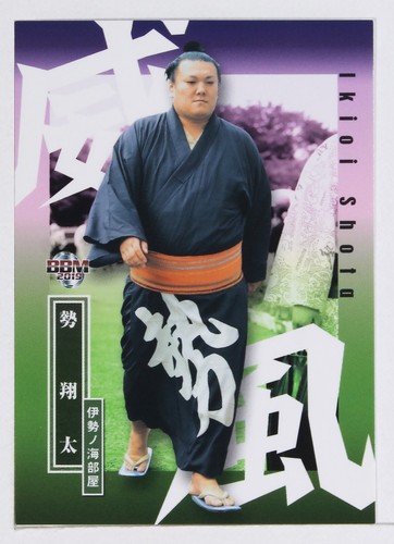 Ikioi shota 2019 - (majesty),